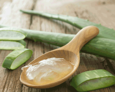 Preview: Aloe Vera von Erva