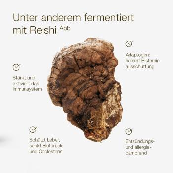 MikroVeda LIFE - Bio-Enzymferment 1 Liter