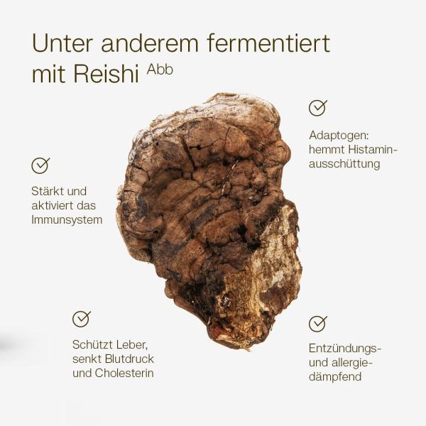 MikroVeda LIFE - Bio-Enzymferment 1 Liter