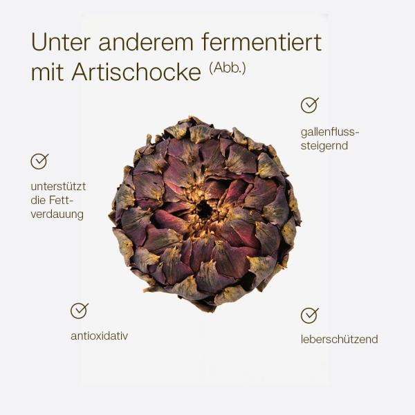 MikroVeda Liva